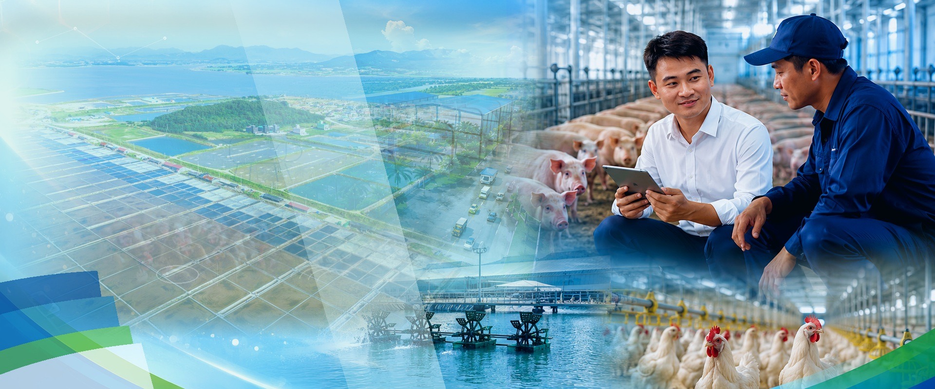 LUÔN BÁM SÁT THỰC ĐỊA, HIỂU ĐÚNG VẤN ĐỀ TẠI TRANG TRẠI