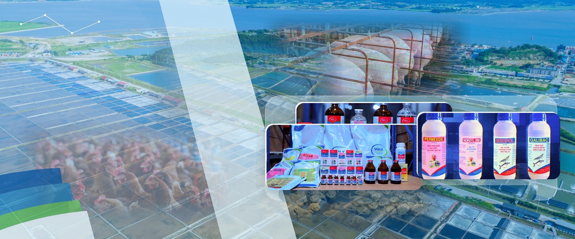 NHẰM TẠO RA GIẢI PHÁP PHÙ HỢP CHO NHÀ CHĂN NUÔI