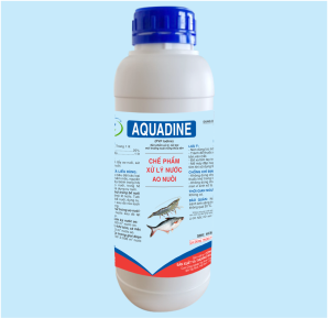 AQUADINE
