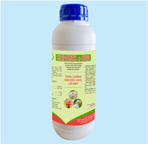 HEPATOL+B12
