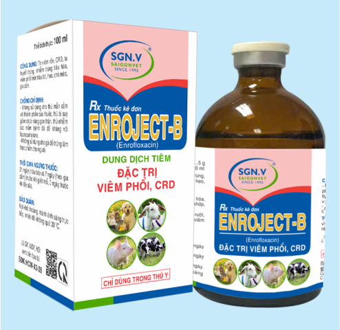 ENROJECT-B
