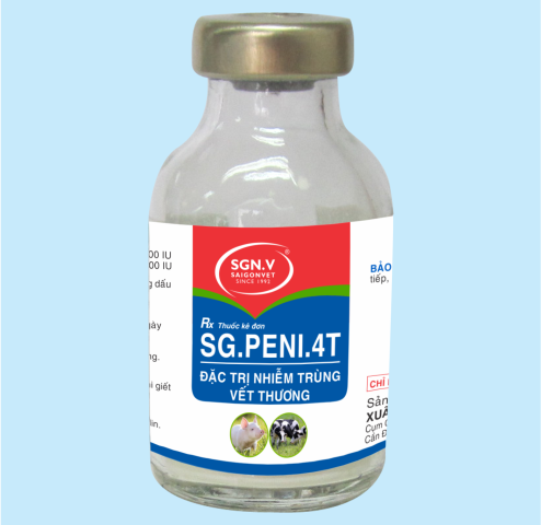 SG.PENI.4T