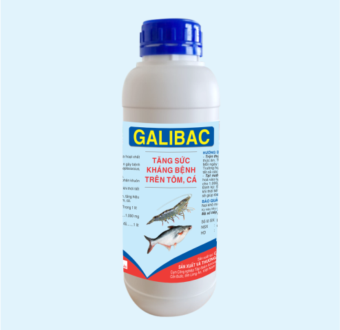 GALIBAC