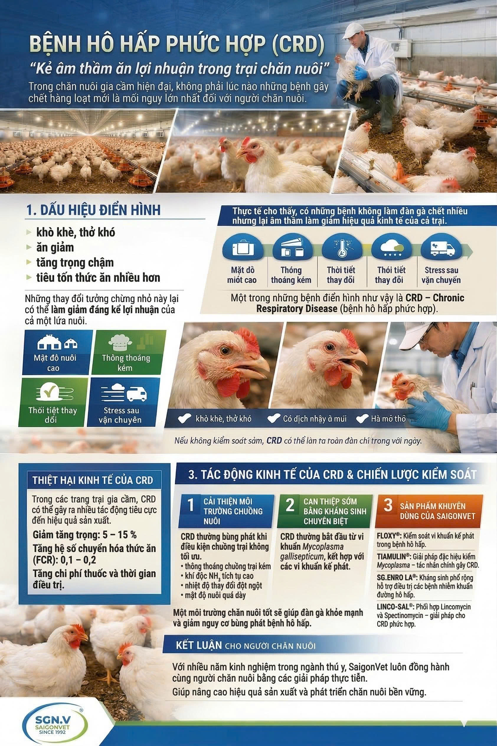 BỆNH HÔ HẤP PHỨC HỢP (CRD)