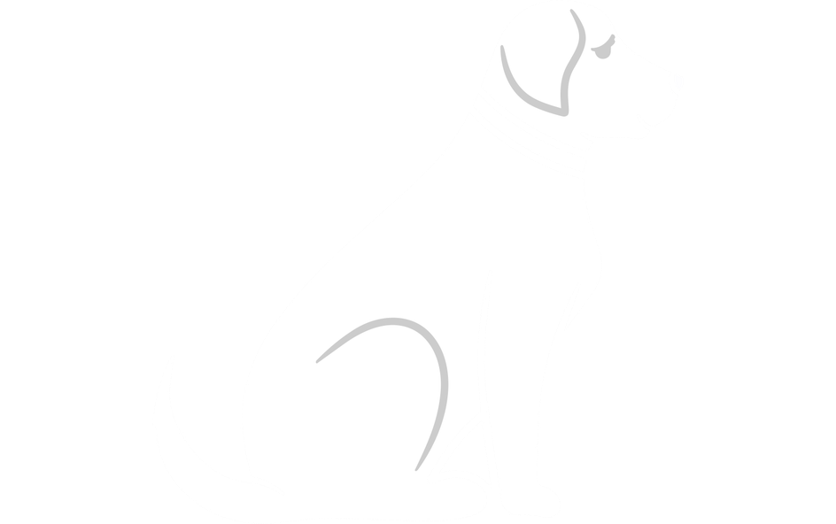 Pets