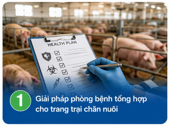 GIẢI PHÁP PHÒNG BỆNH TỔNG HỢP CHO TRANG TRẠI