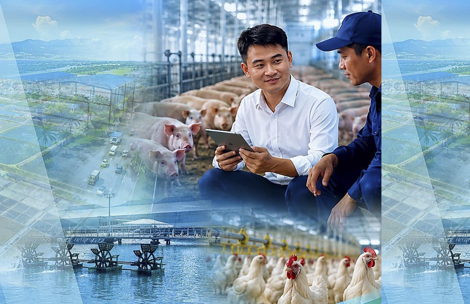 Hands-on technical team: Partnering with livestock farmers right at the farm.
