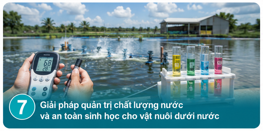 Water quality management and biosecurity solutions for aquatic animals