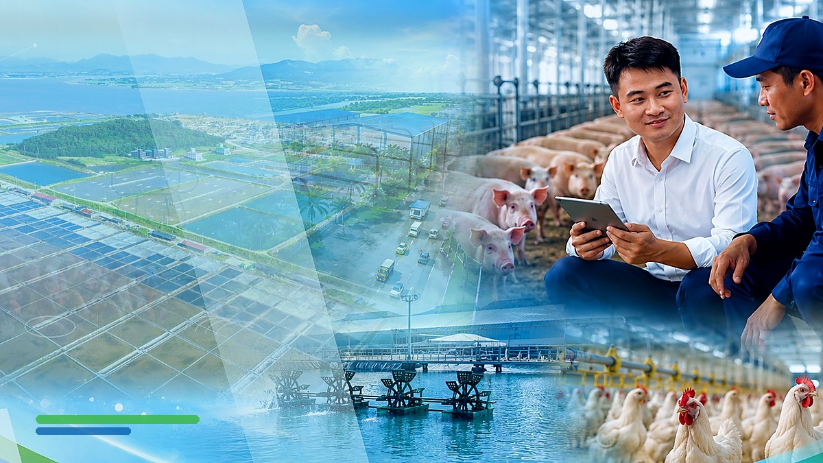 Chuyên viên kỹ thuật trao đổi với người chăn nuôi tại trại