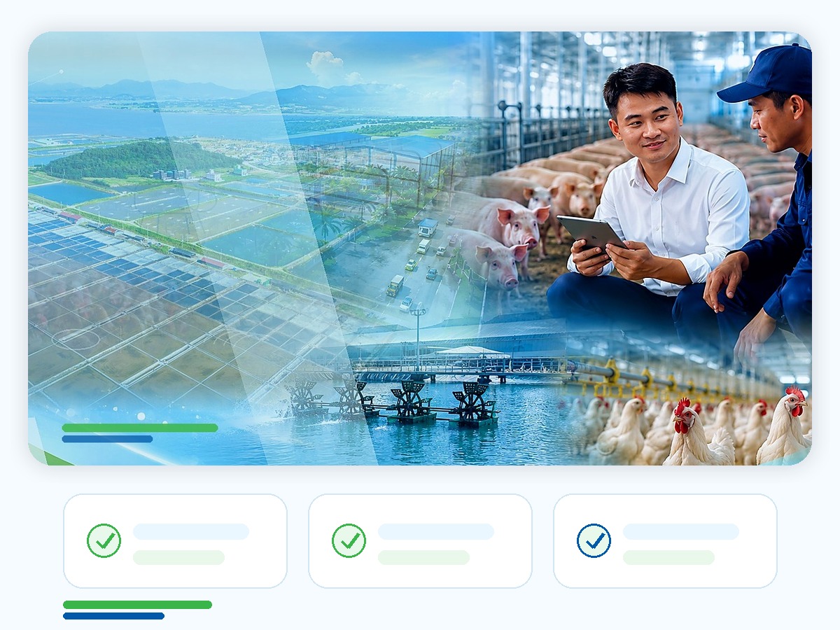 Quan sát và đánh giá bệnh trước khi dùng kháng sinh