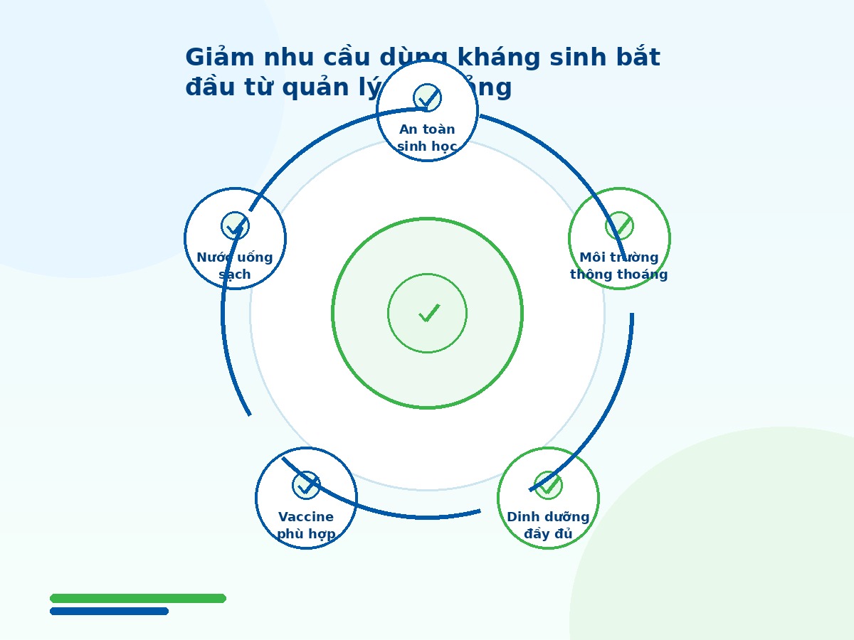 Managing environment, nutrition, vaccines, and water helps reduce antibiotic dependency
