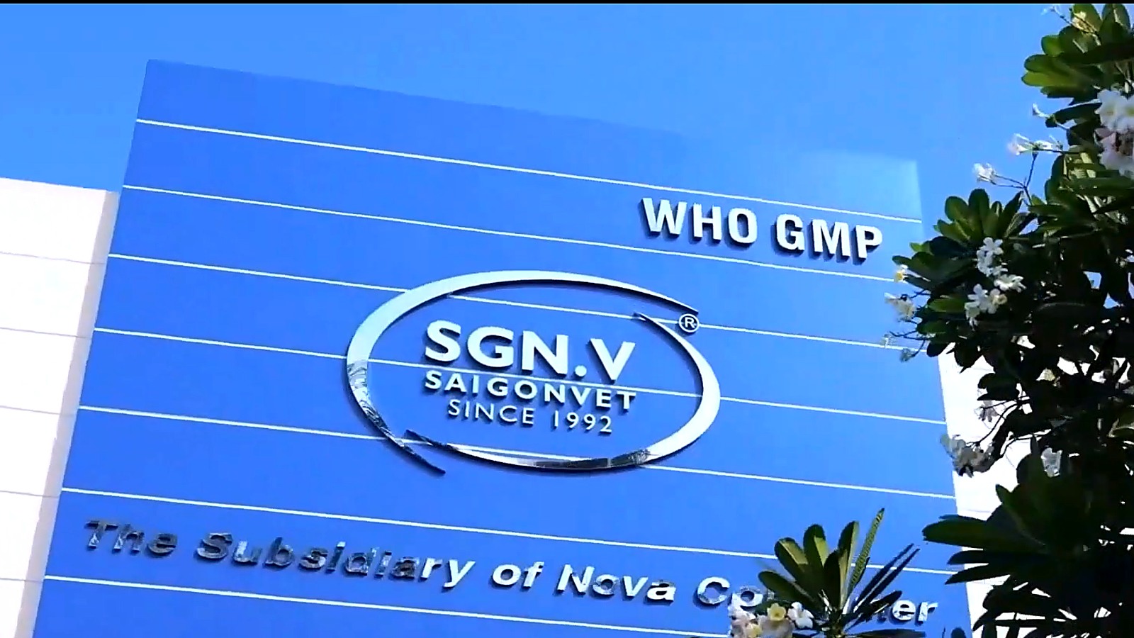 Bảng tên WHO-GMP tại nhà máy SaigonVet
