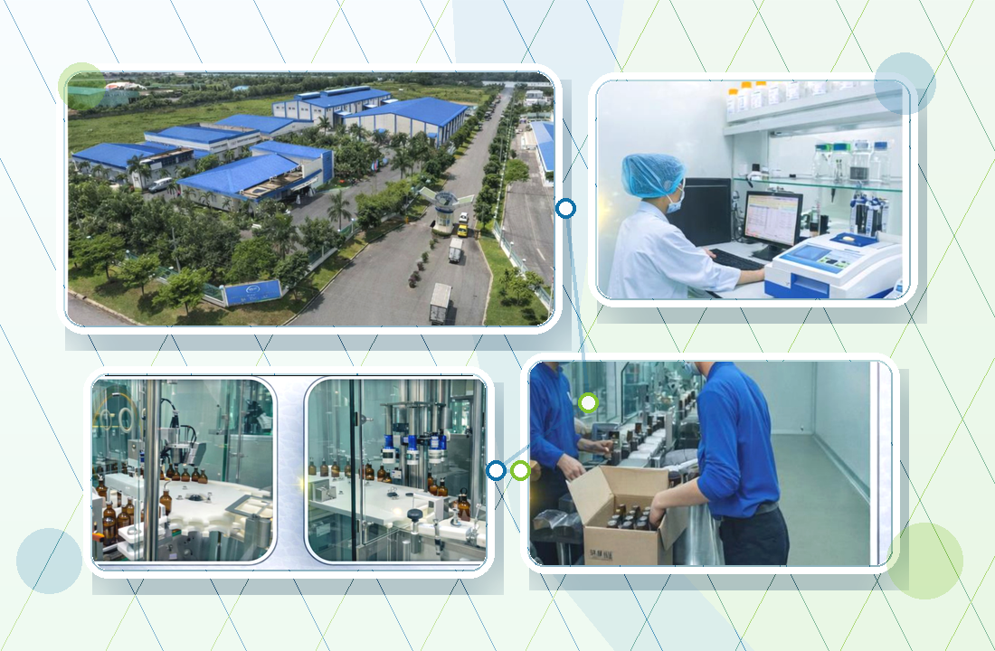 Minh họa quản trị chất lượng tại Saigonvet từ thực địa đến phòng lab và nhà máy